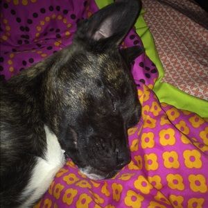 Meet your Posher, Emma